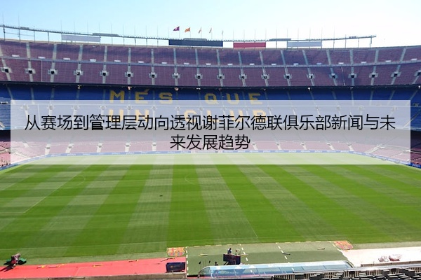 从赛场到管理层动向透视谢菲尔德联俱乐部新闻与未来发展趋势